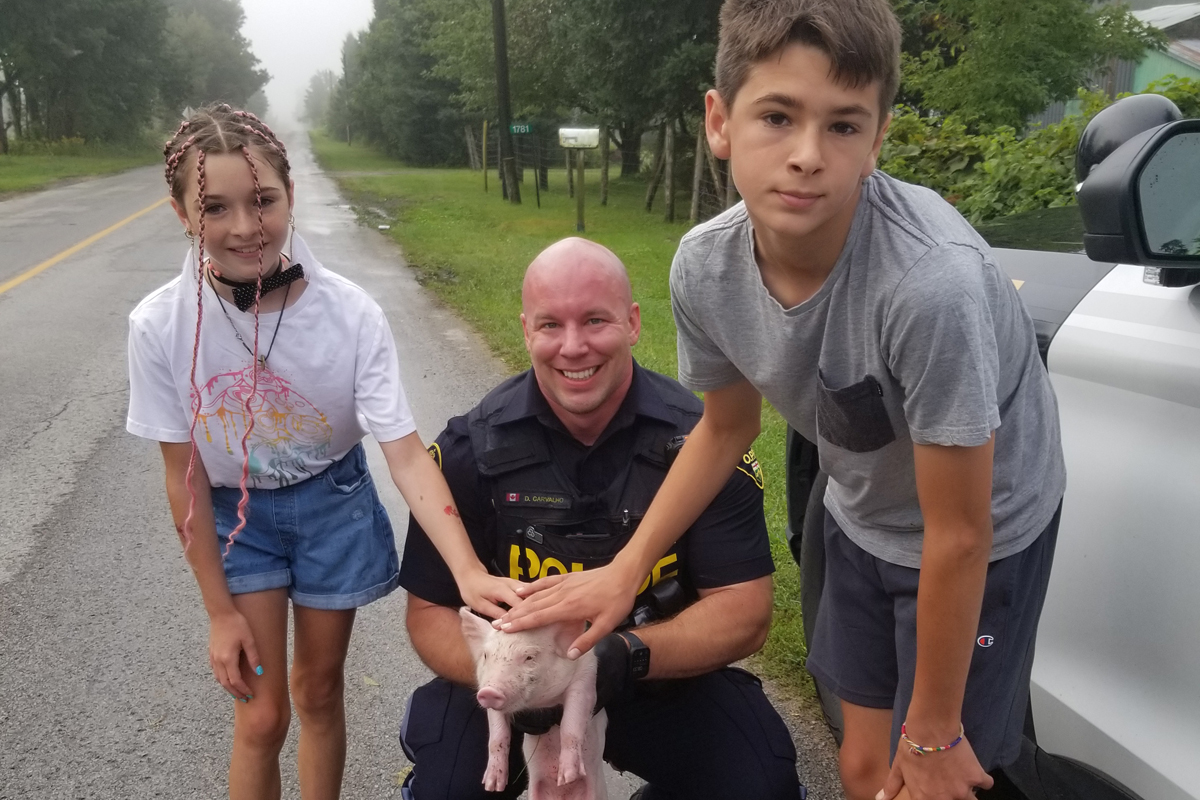 In a social media post, police say two youngsters came to the rescue as they were able to corral the piglet into custody.