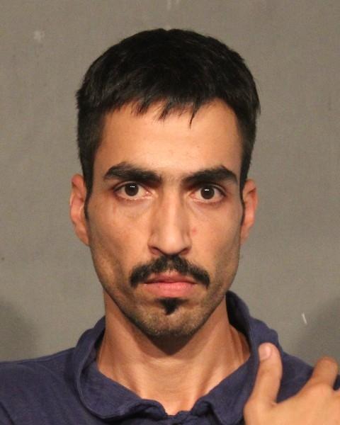 Pouria Sahragard has been charged with assault with a weapon and assault by choking. He remains in police custody. 