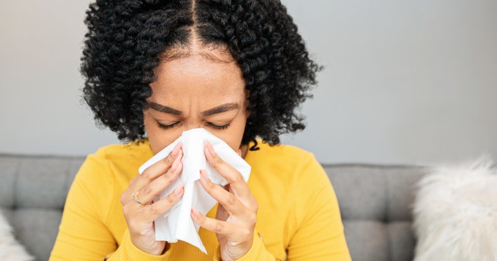 It’s rhinovirus season. Can catching the common cold protect against COVID-19?