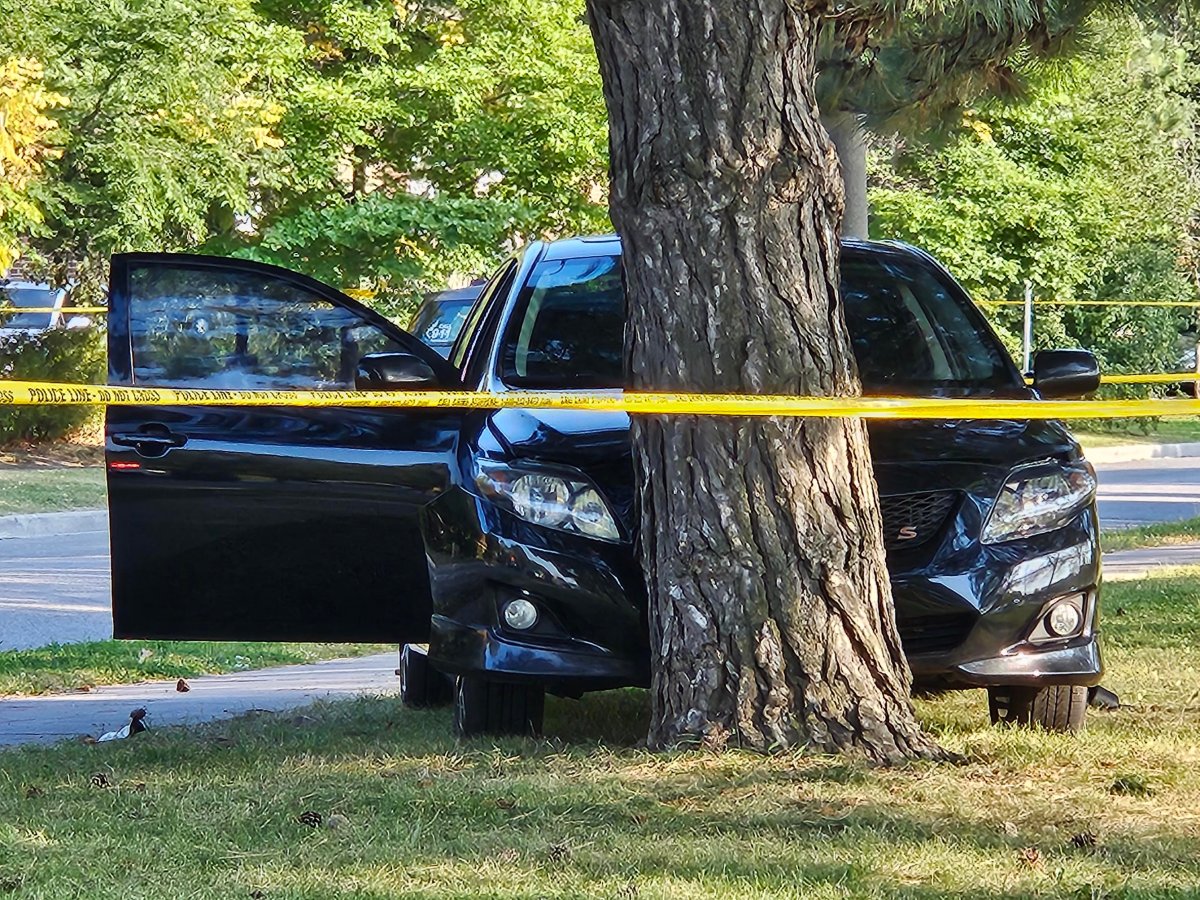 Police are investigating after a shooting in Scarborough.