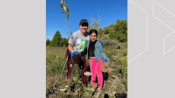Serviceberry Tree In Spring planting trees | News, Videos & Articles