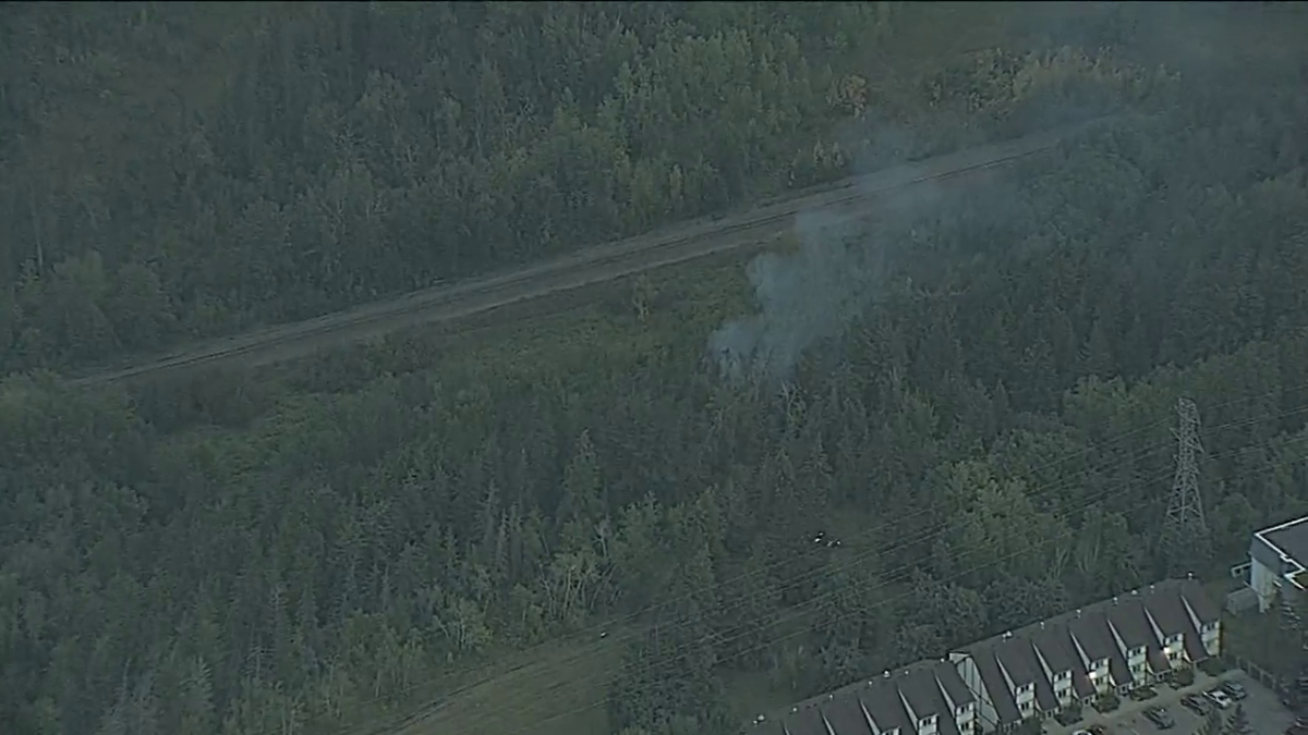 A fire was seen coming from a forested area of Edworthy park around 6:50 a.m. on Friday.