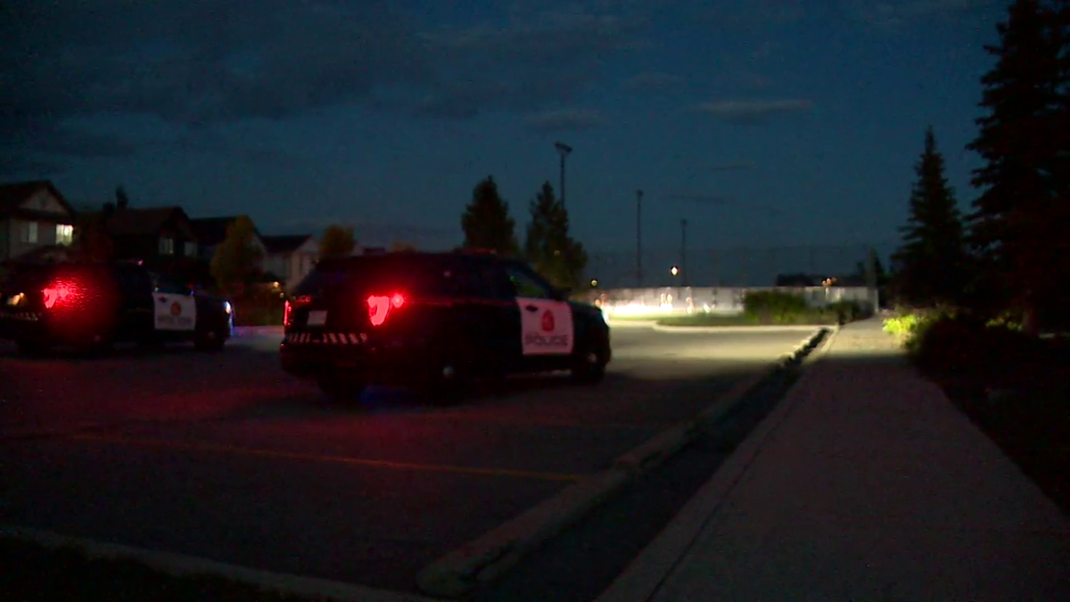 A man was taken to hospital in life-threatening condition after a stabbing in southeast Calgary on Tuesday evening, police say.