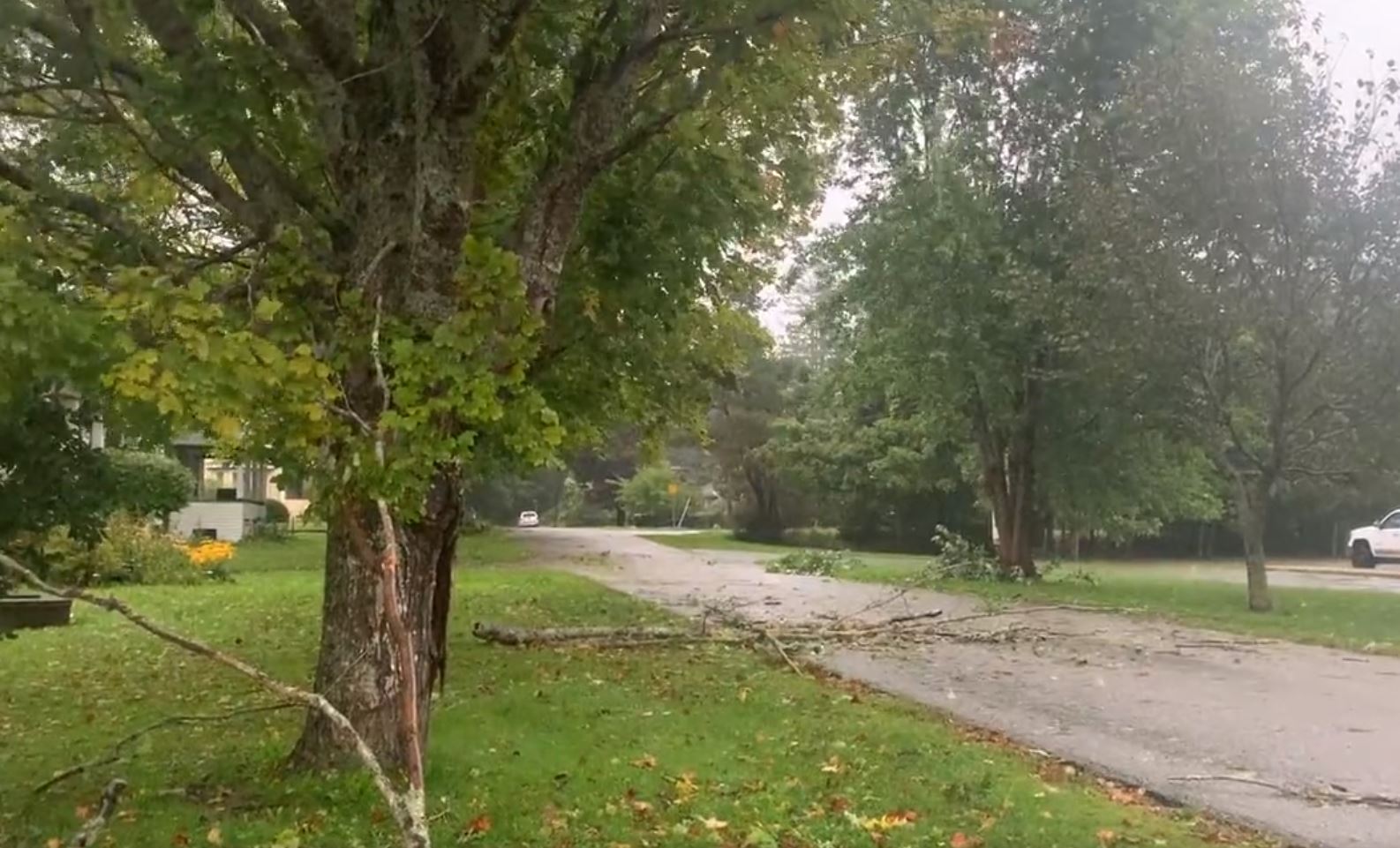 There were already some downed branches in Yarmouth, N.S. early Saturday as the former Hurricane Lee moved into the Maritime region.