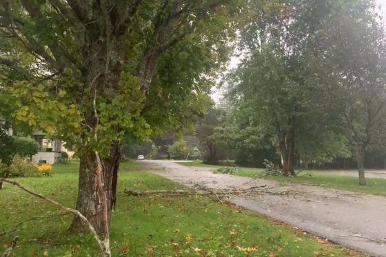 There were already some downed branches in Yarmouth, N.S. early Saturday as the former Hurricane Lee moved into the Maritime region.