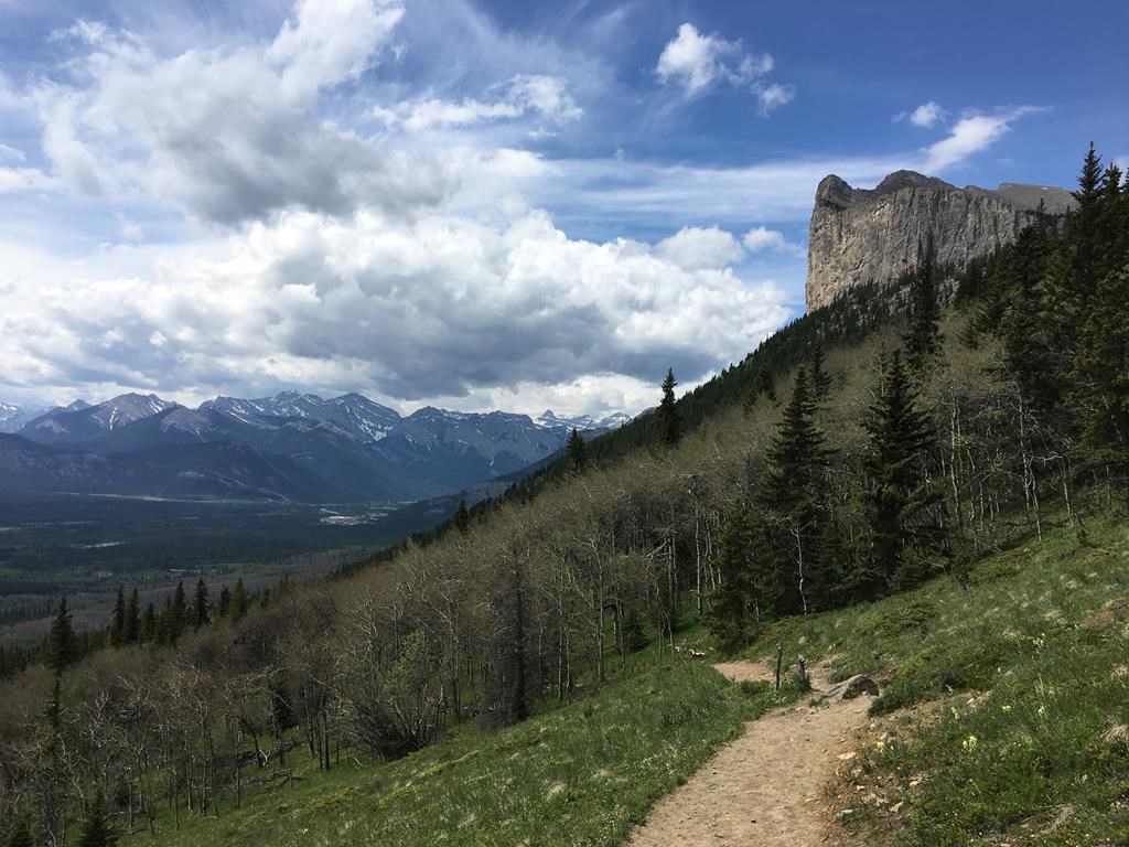 Several bear warnings are in place in Kananaskis Country after some surprise encounters with both black and grizzly bears. The hiking trail on Yamnuska, in Alberta's Bow Valley Wildland Provincial Park, part of Kananaskis Country, is shown in June 2017.
