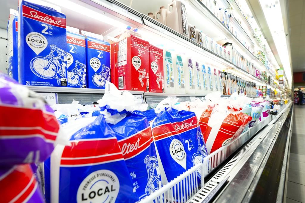 Milk prices should be paused amid pressure to keep food costs down: independent grocers – National | 24CA News