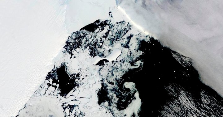 Alberta researcher says sea ice in Antarctica lowest since 1986: ‘It’s serious, it’s really bad’