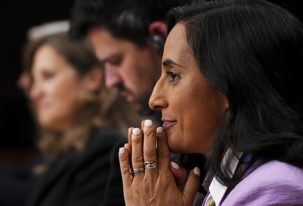 Президентът на финансовия съвет Анита Ананд иска от парламента да