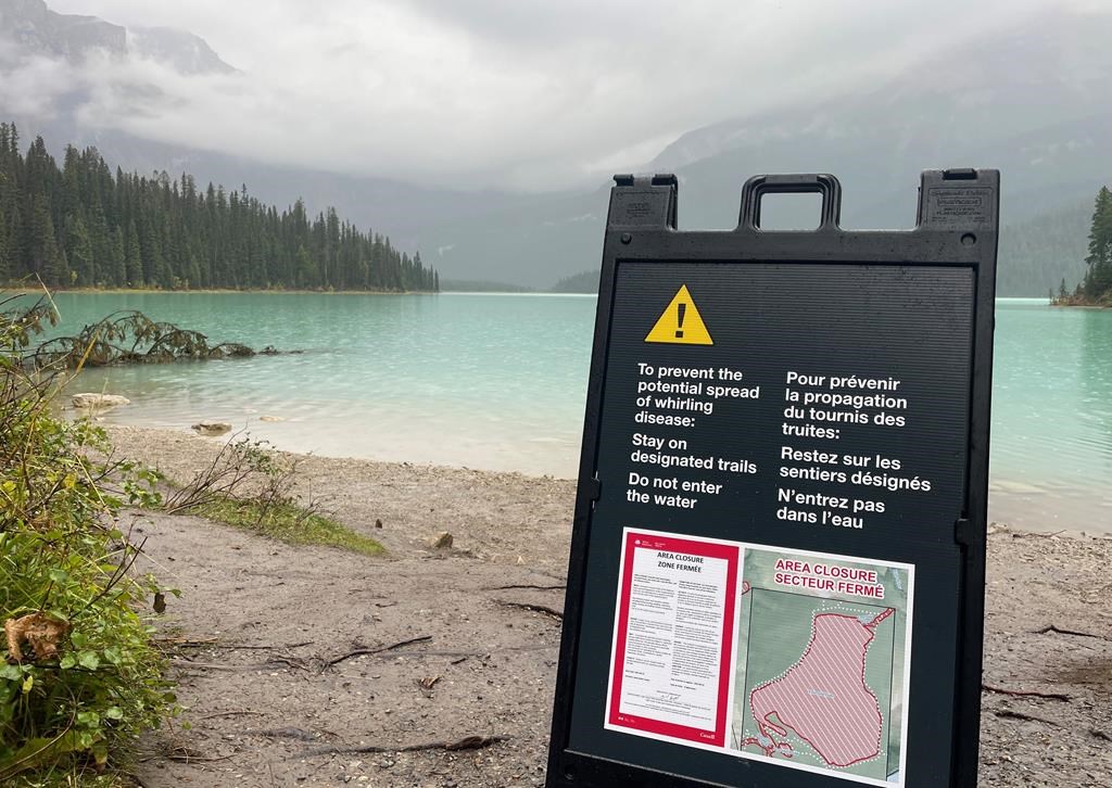 Yoho National Park signage is shown in this handout image. Parks Canada officials say they're closely watching lakes and rivers in Kootenay and Yoho national parks for a parasite that could "decimate" trout and salmon populations.