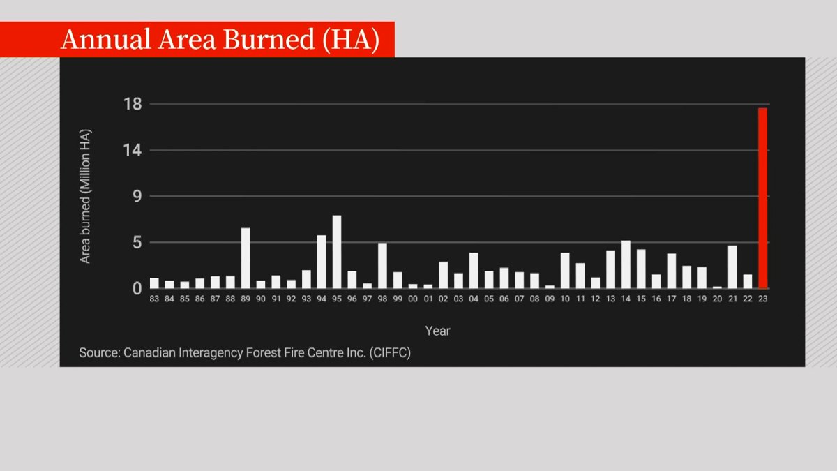 Future of wildfires What will happen to Canada’s scorched forests as