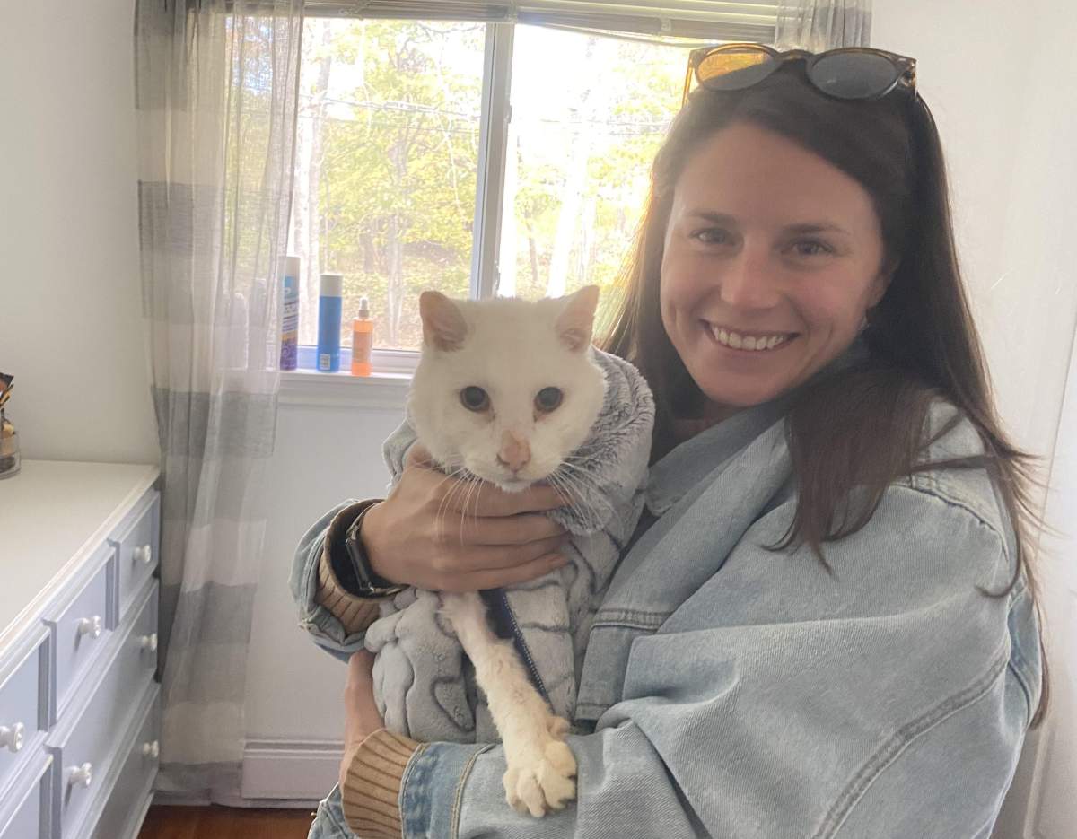 Morgan Daye said she's certain the rescued cat is her Peter.