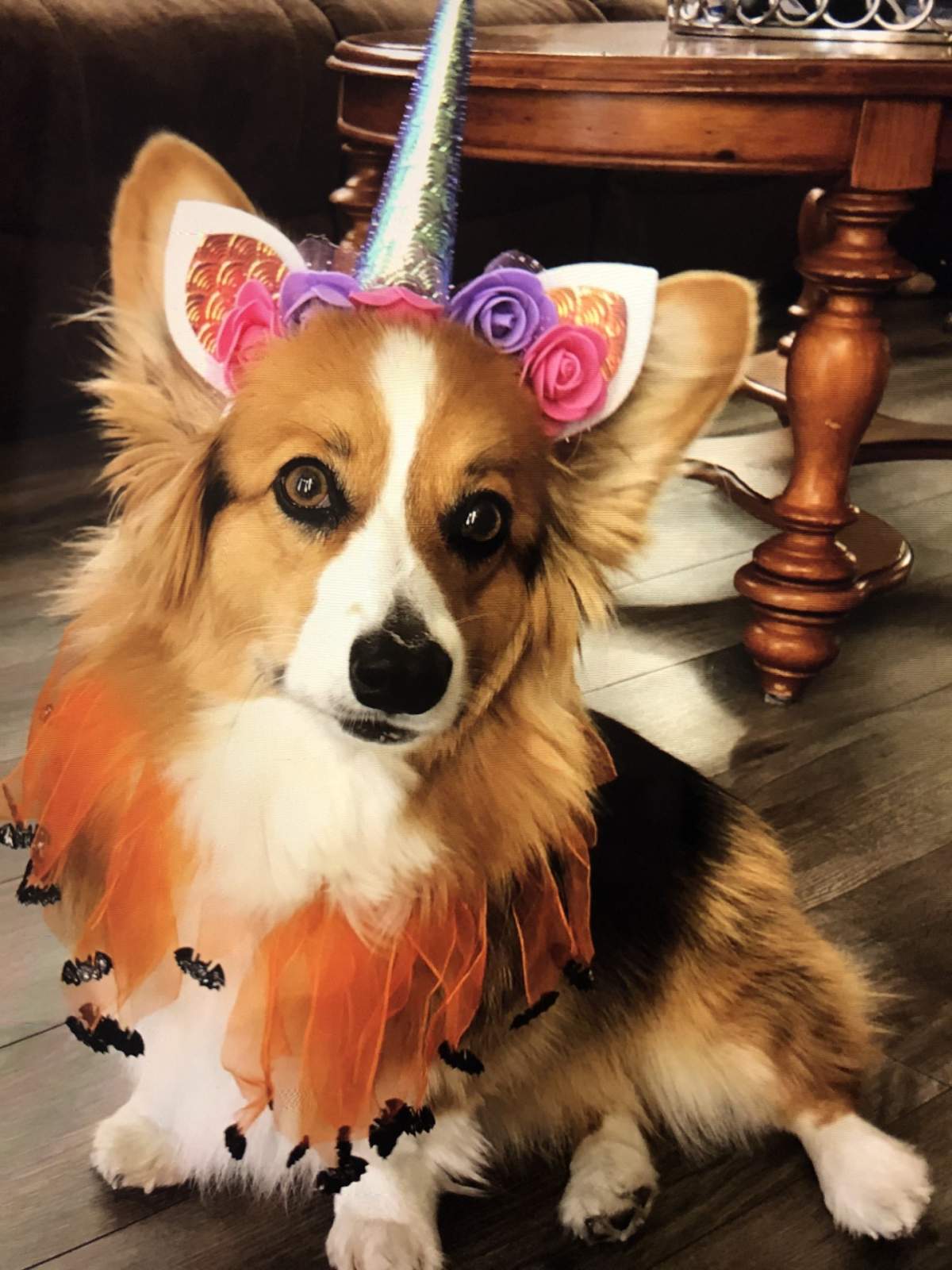 – Jeanie, Calgary, Alta.