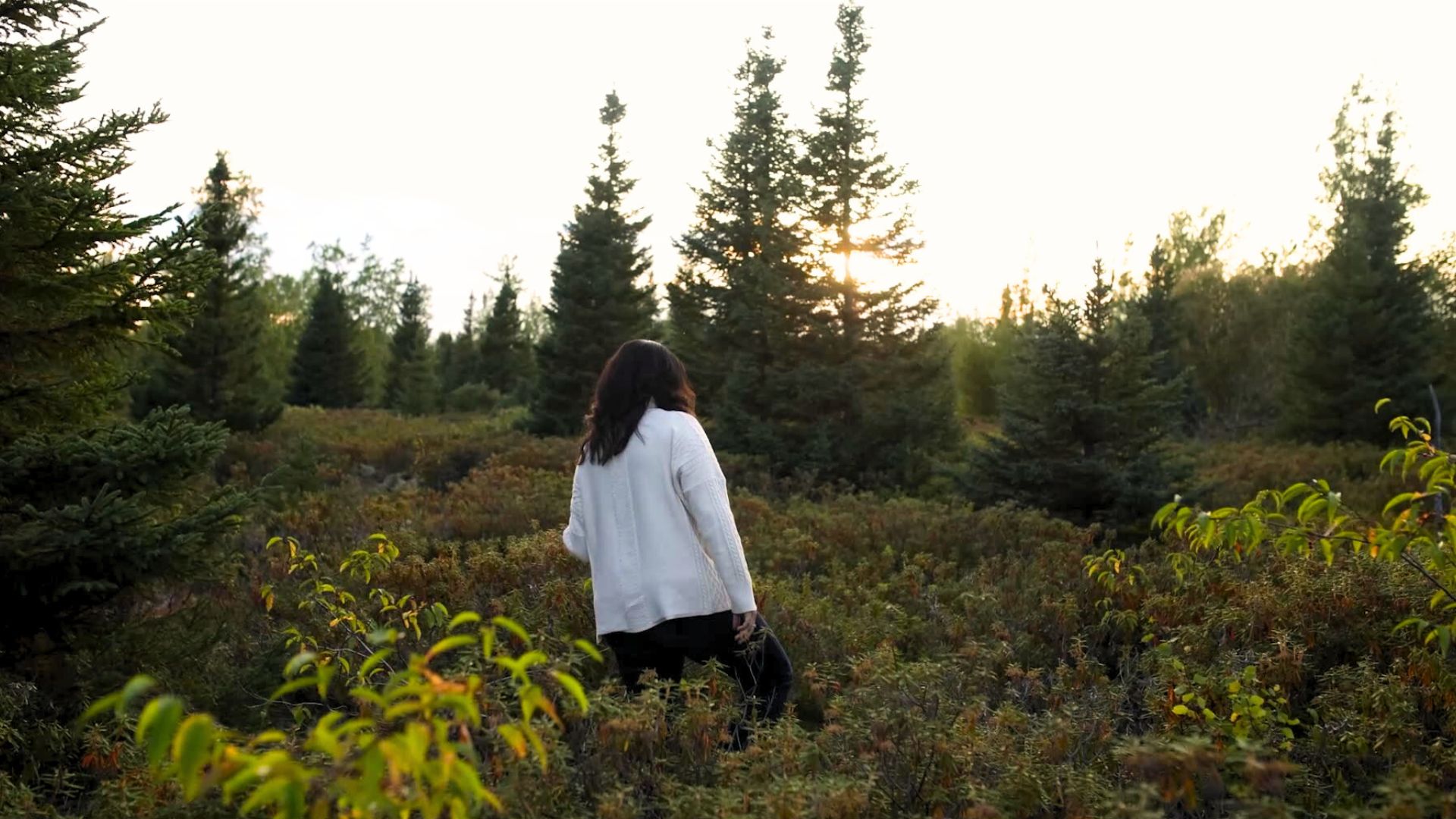Ashlee Cunsolo walks into a blueberry field in Happy Valley-Goose Bay.