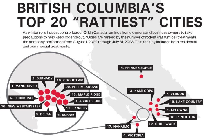 Orkin Canada releases annual list of B.C.’s ‘rattiest’ cities