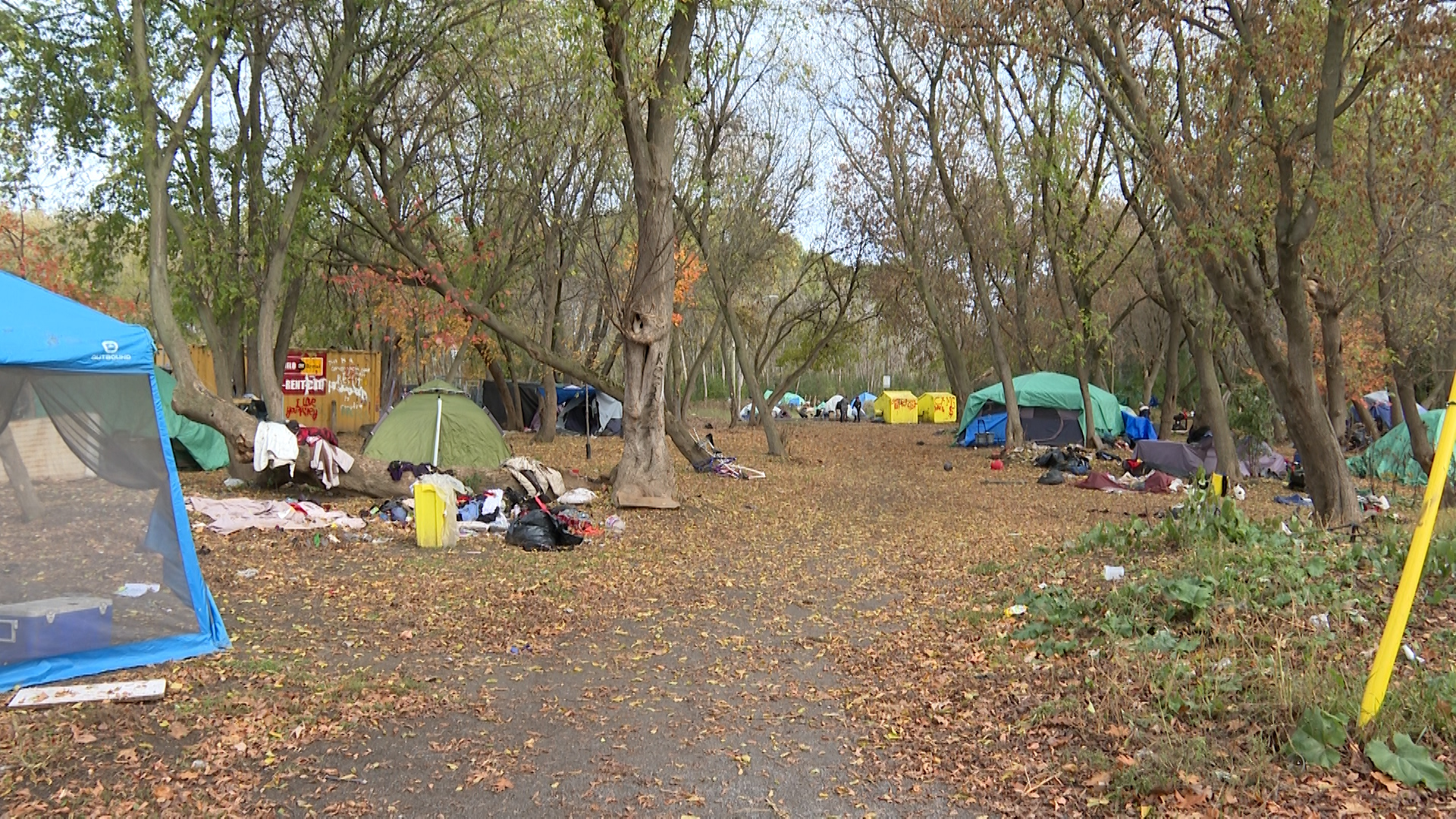 As Kingston continues eviction push, Belle Park encampment lawyers state their case