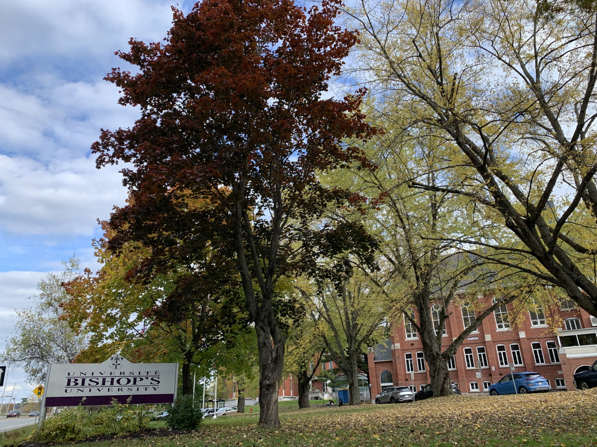 Panic, sadness, devastation at Bishop’s University over Quebec’s new tuition rates