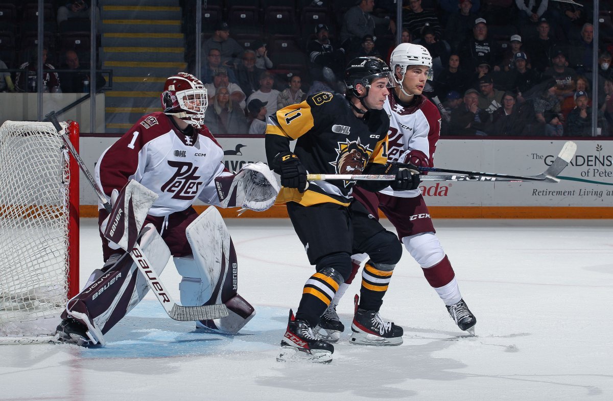The Peterborough Petes beat the Brantford Bulldogs 3-2 in overtime on Oct. 14. The game ended in a bench-clearing brawl.