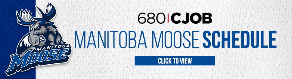 Manitoba Moose - image
