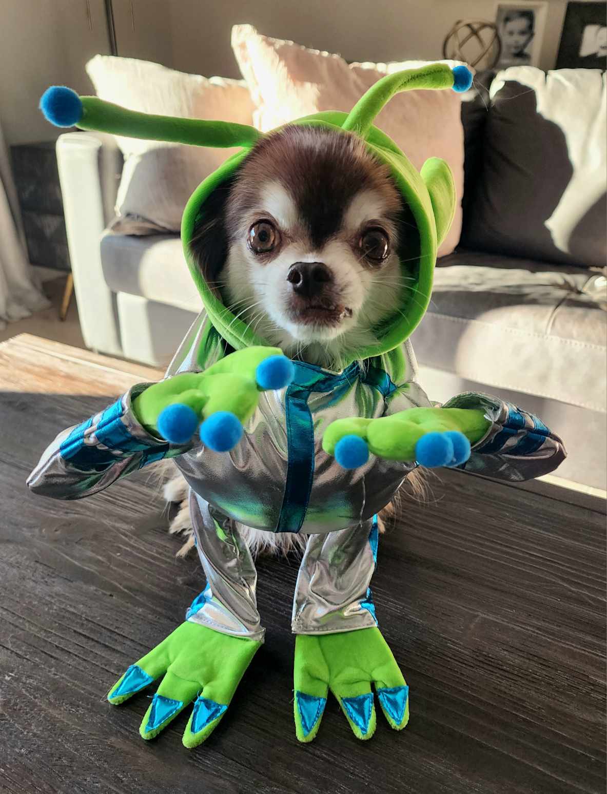 – Bonnie Hynes, Lake Country, B.C.