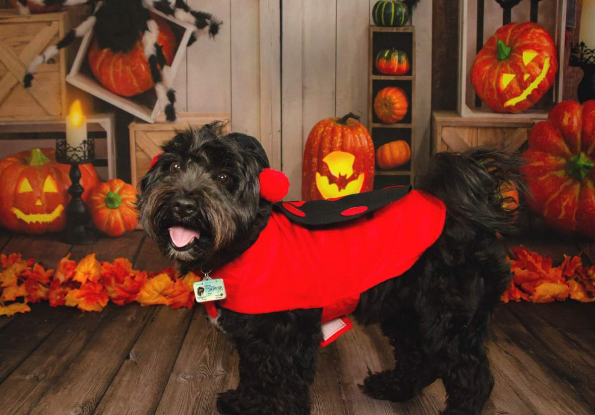 – Owner, Pukatawagan, Man.