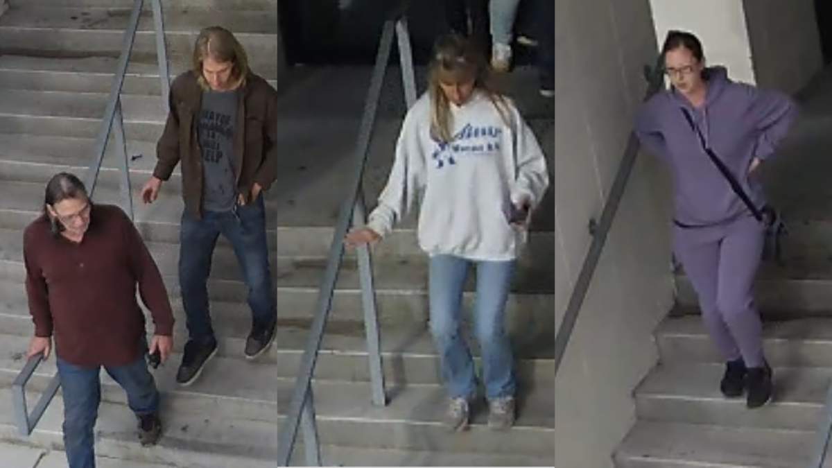 Surveillance stills of four of the suspects in the dognapping of Waverly, a golden retriever pup, at the Thorncliffe Greenview Community Association on Sept. 25.