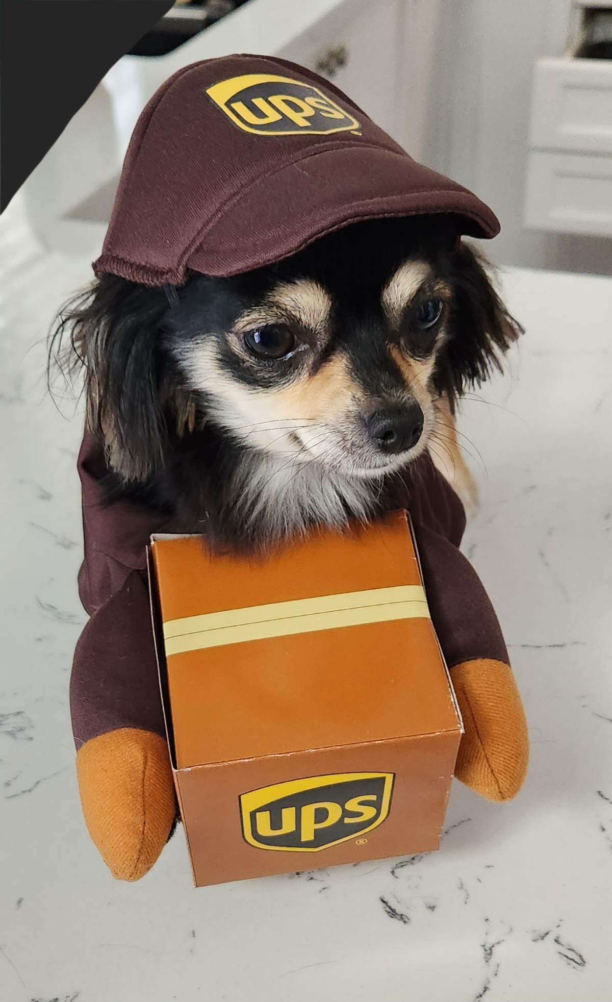 – Brianne Cooper, London, Ont.