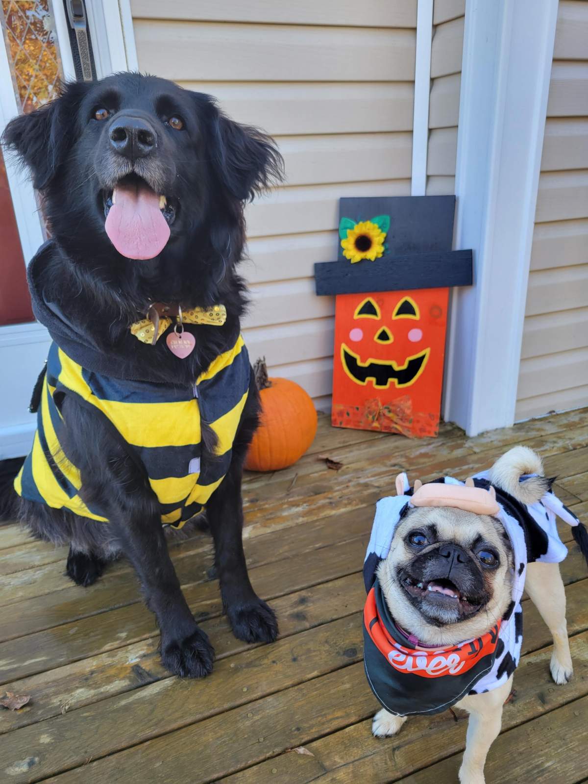 – Shantel and Lucas, Antigonish, N.S.