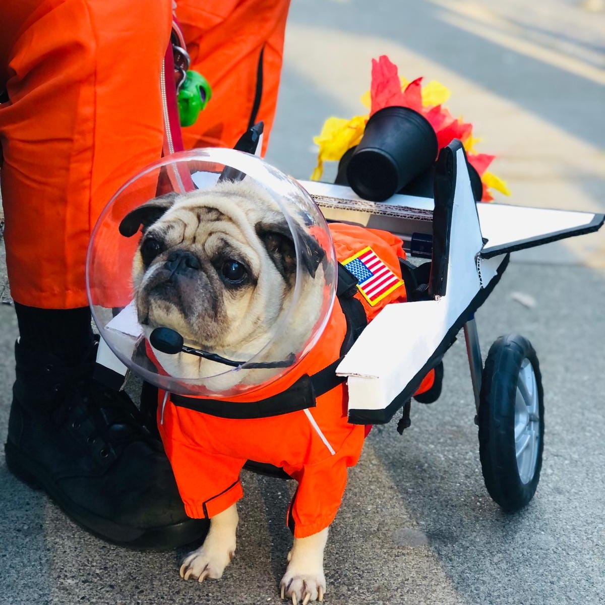 – Kristine, Vancouver, B.C.