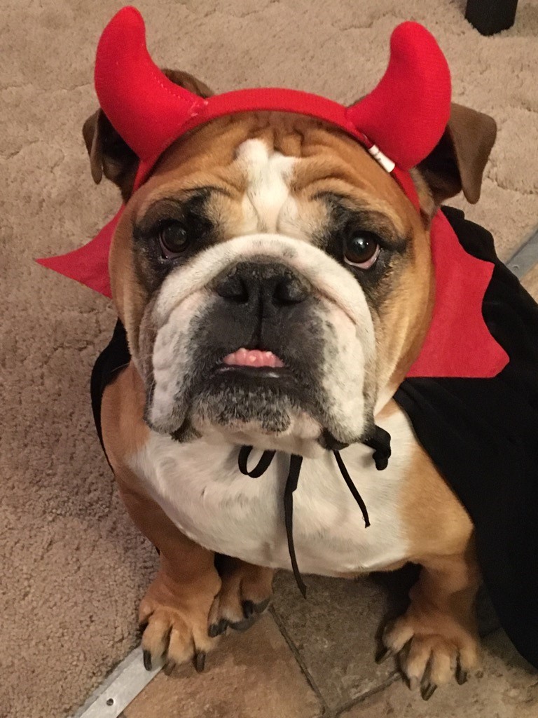 – Rob Williams, Surrey, B.C.