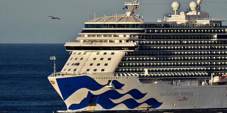 Retired couple books 51 consecutive cruises, says it's cheaper than retirement home