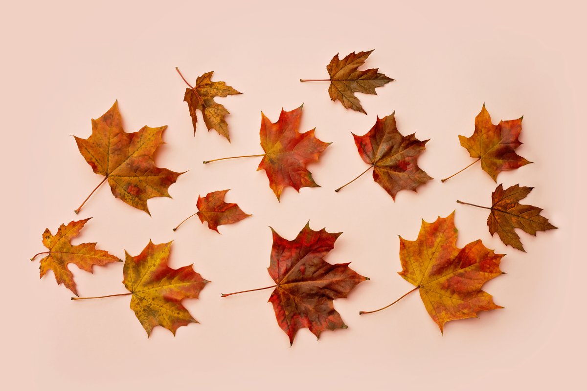 Raking leaves