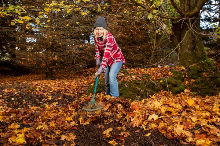 Say goodbye to raking leaves. Try one of these alternatives for a cleaner yard