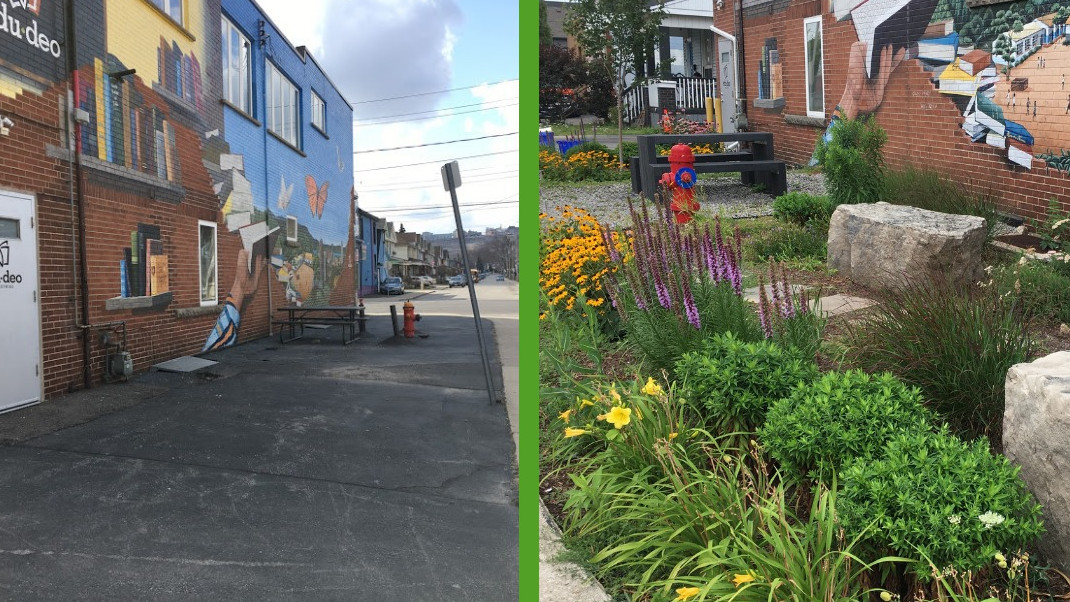 A photo from 621 Barton Street East in Hamilton, Ont. The space is one of three sites in the city centre converted from pavement to plants by Green Venture.