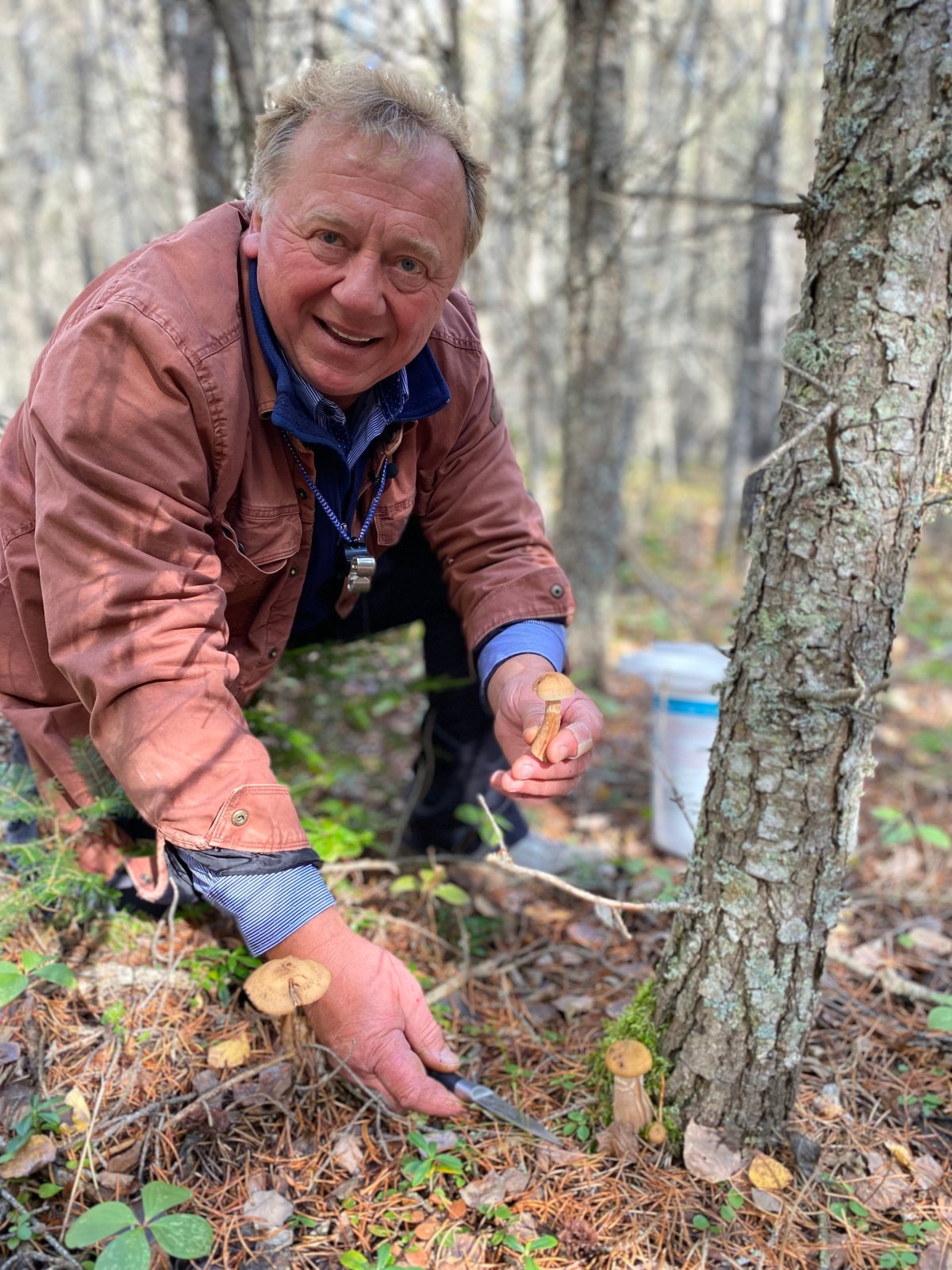 ‘Mushrooms are beautiful’ Enthusiasm for mushroom foraging growing in