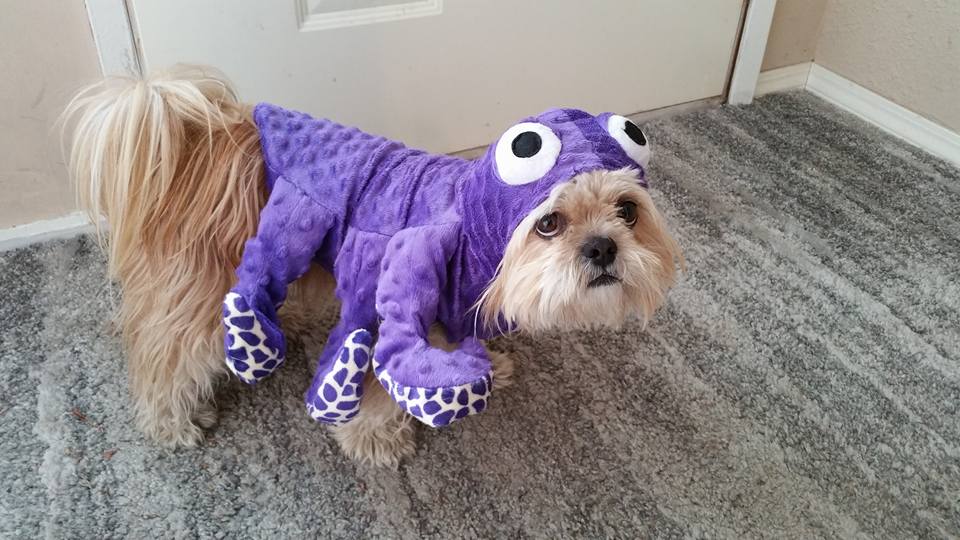 – Brenda Strain, Langdale, B.C.