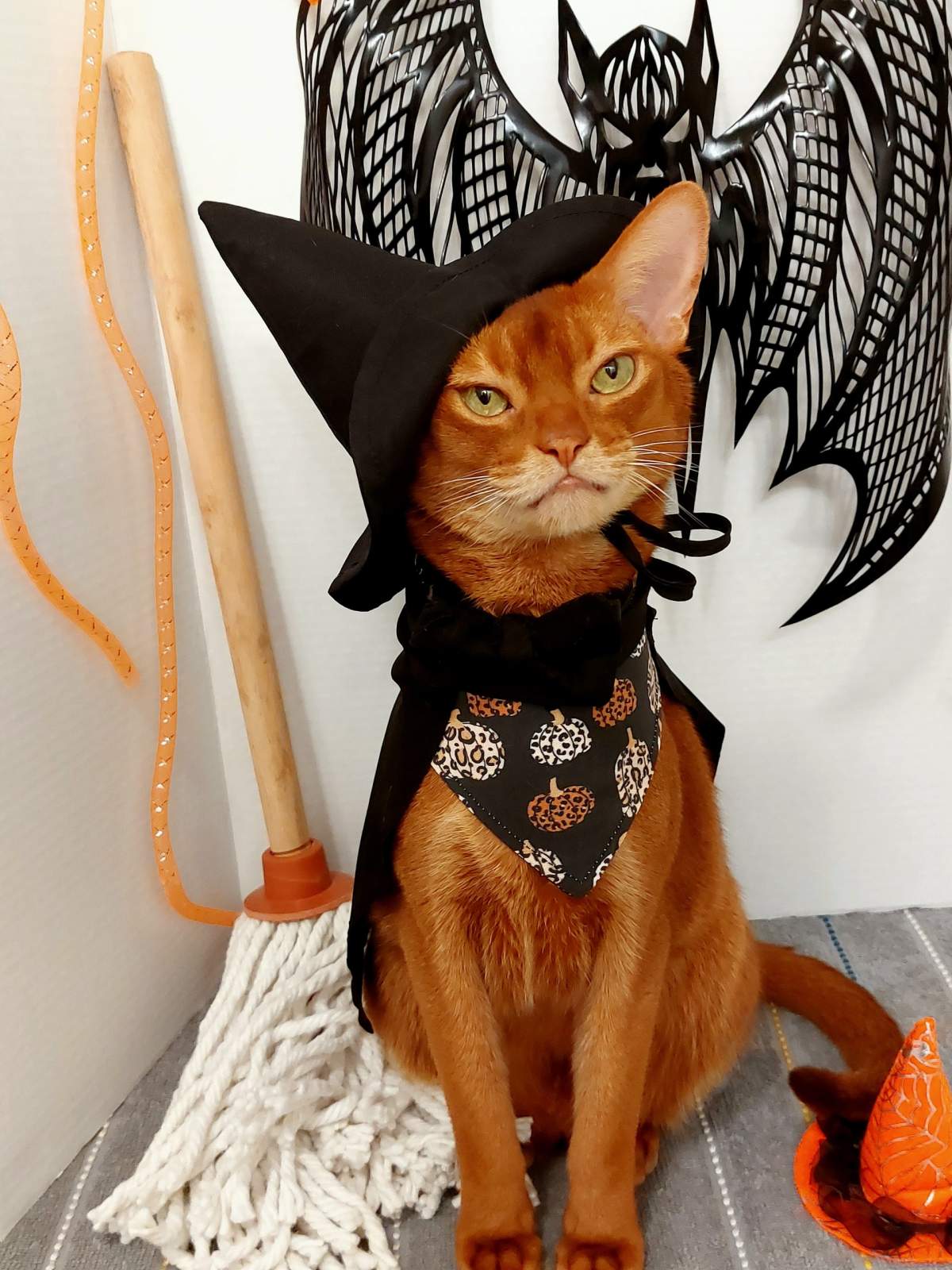 – Tim Jackson, Kitchener-Waterloo, Ont.