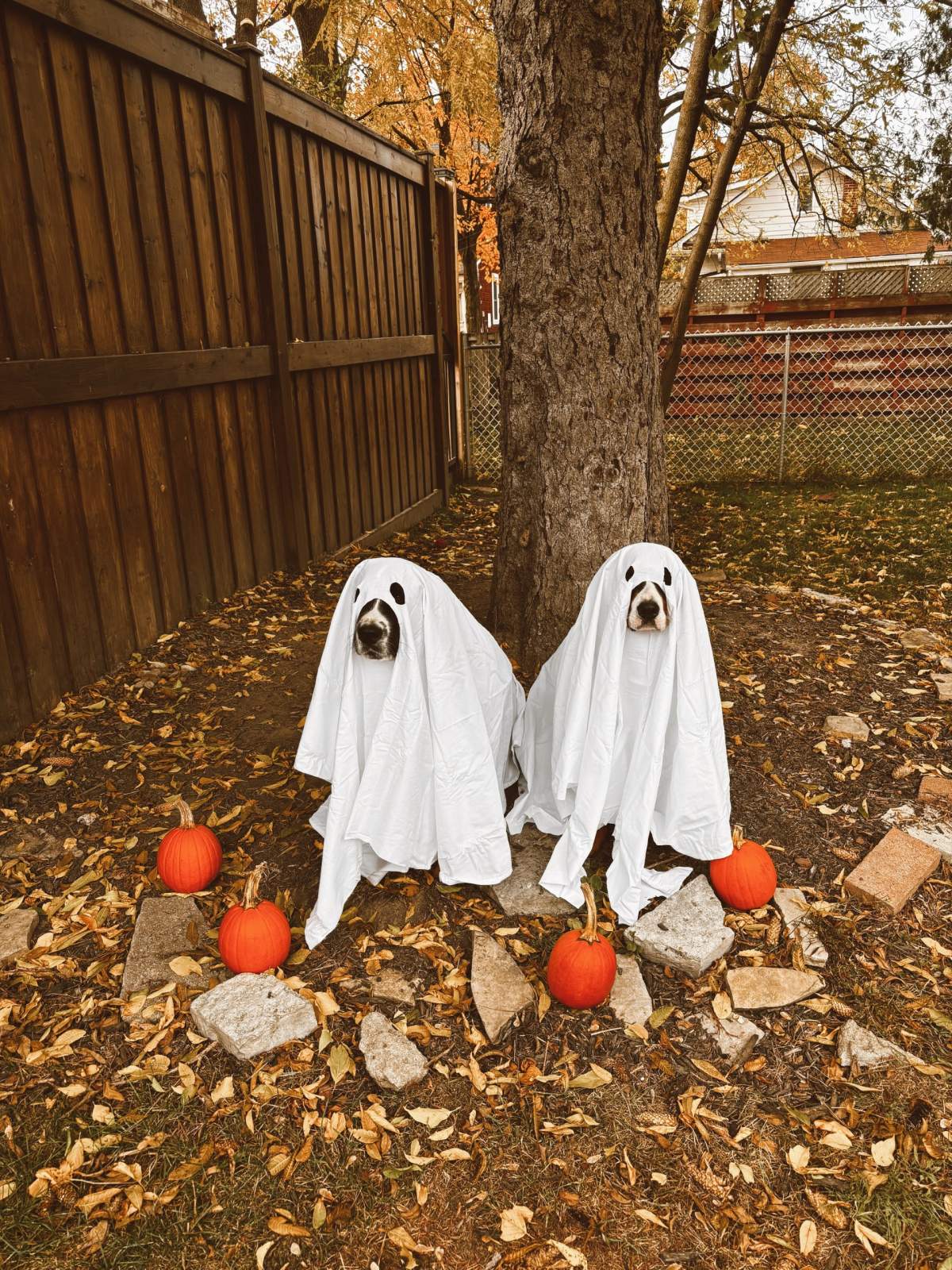 – Brent, Kendra, Martha & Charlotte, Peterborough, Ont.