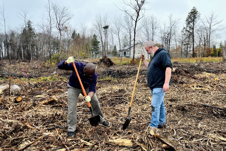 ‘It gives them hope’: Volunteers plant trees on land devastated by N.S. wildfire