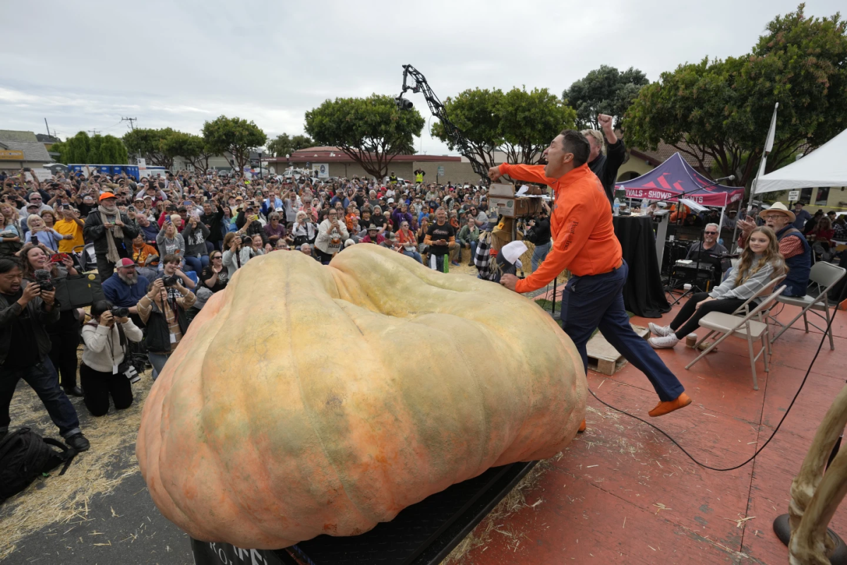 Travis Gienger on stage next to his massive, lumpy pumpkin. A crowd watches.