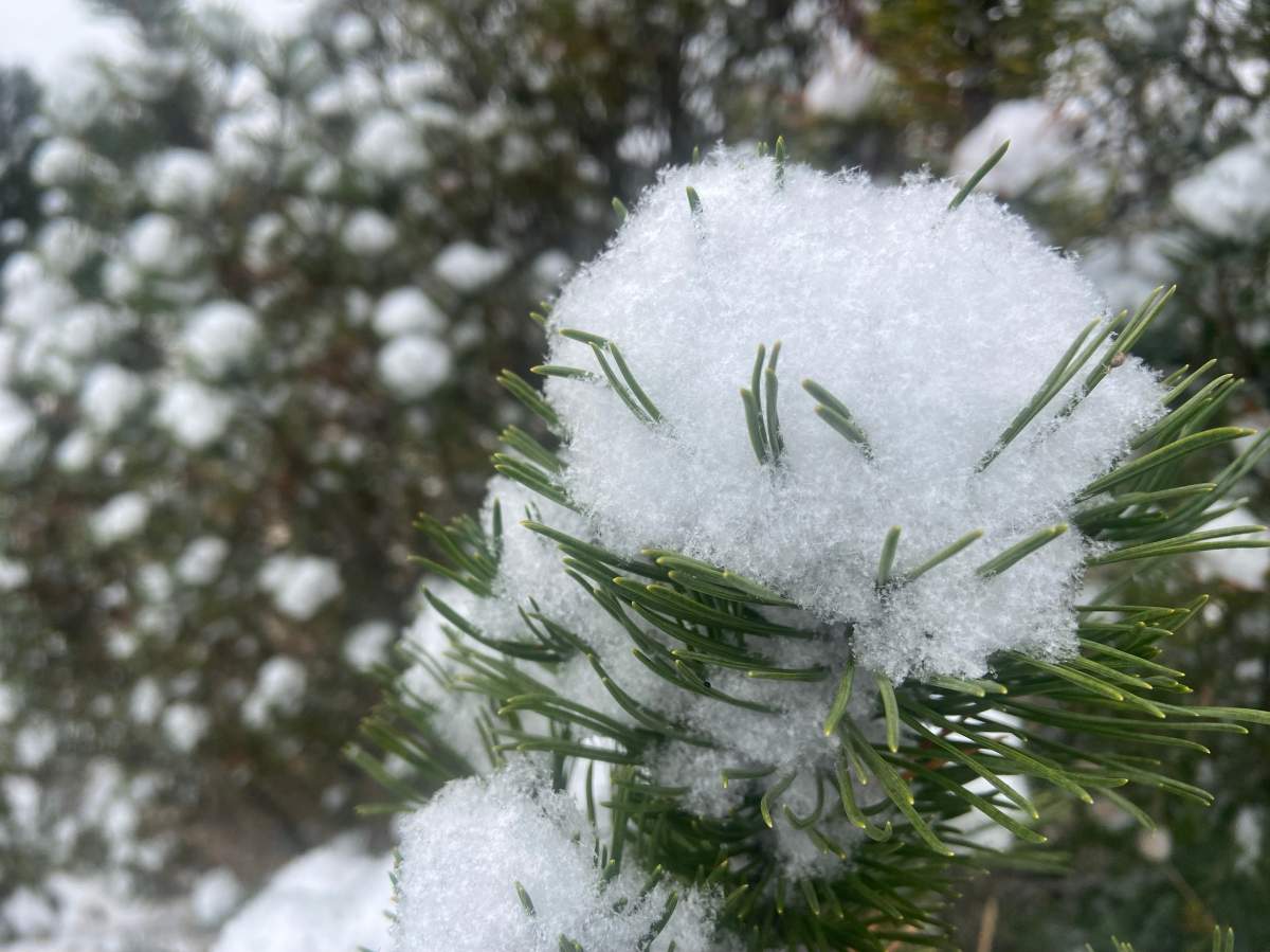 First snowfall of the season in Edmonton, Landowne overlooking the Whitemud on Monday, Oct. 23, 2023.