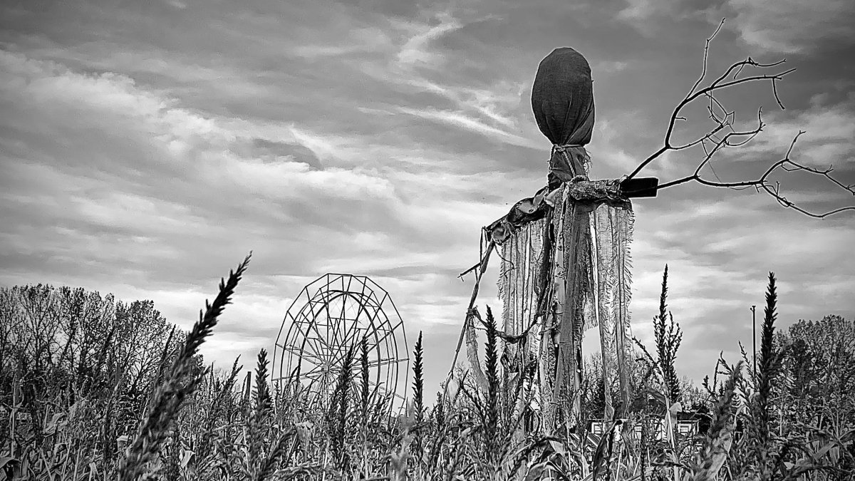 A scarecrow and corn field at the Dark Halloween festival at Fort Edmonton Park in Edmonton on Friday, October 6, 2023.