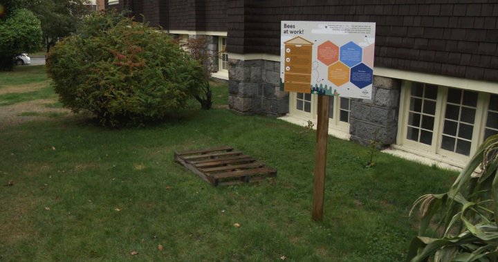 North Vancouver church feeling the sting of stolen beehive