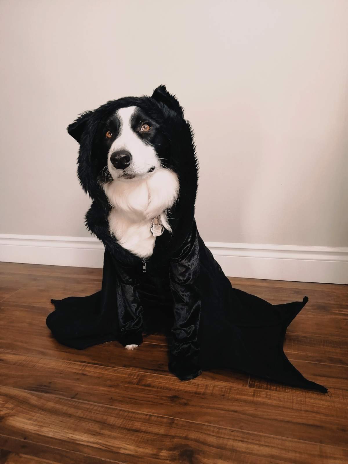 – Michelle Bertrand-Porter