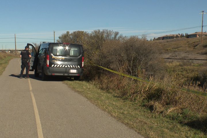 Victim of alleged assault near Calgary Zoo found in life-threatening condition