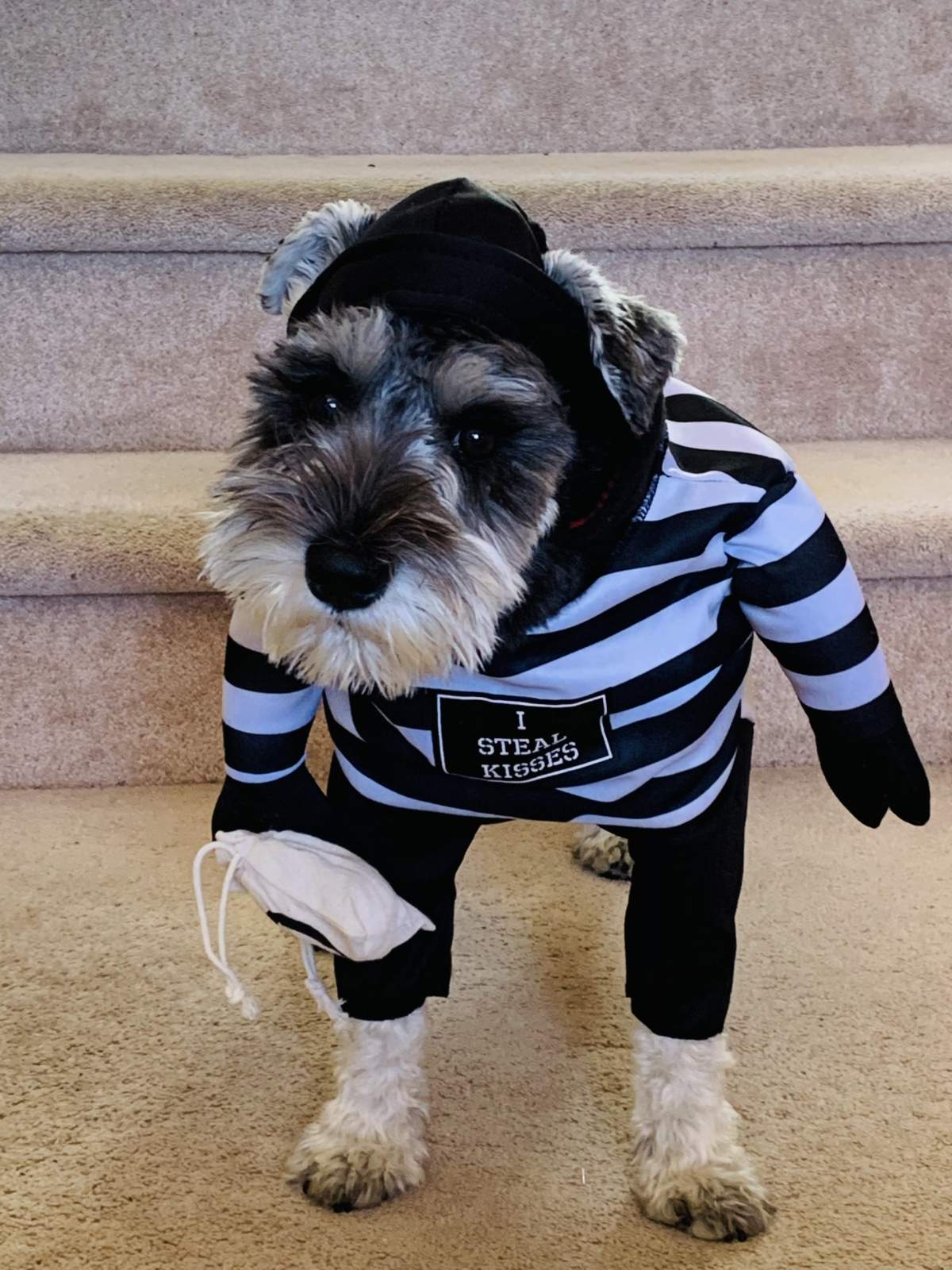 – Nicole Jenkinson