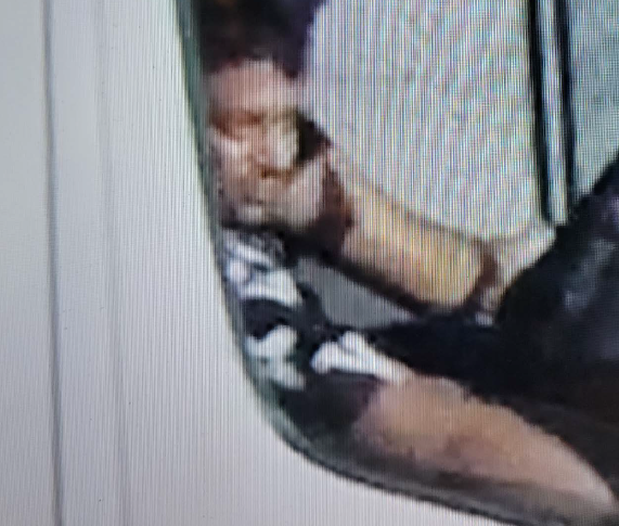 Over $230K of copper wire stolen from Wellington County property: OPP - image