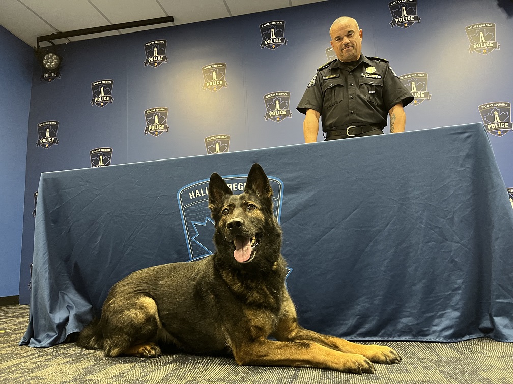 3 newbies, 1 retirement for animal crime fighters at Halifax police