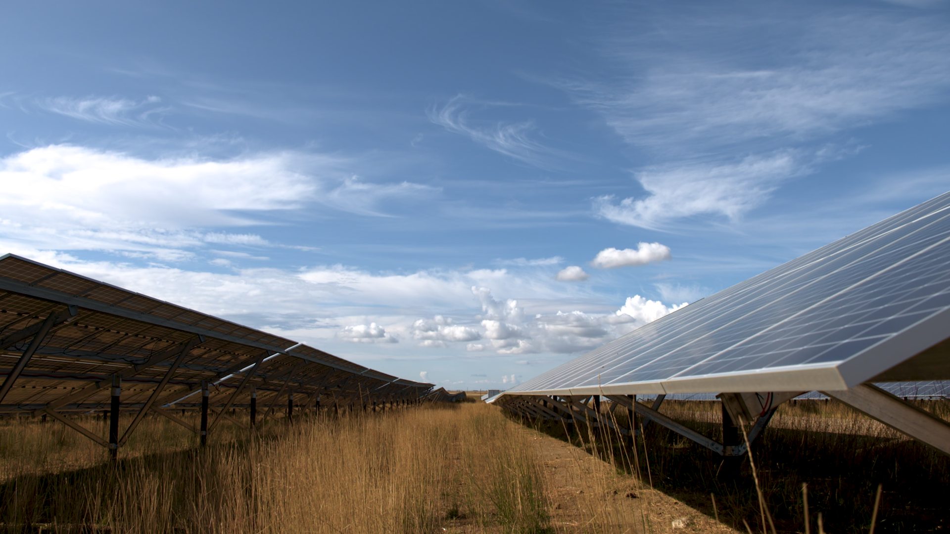 Solar panels soak up the sun at BluEarth Renewables’ Burdett solar farm in 40 Mile County, Alta.