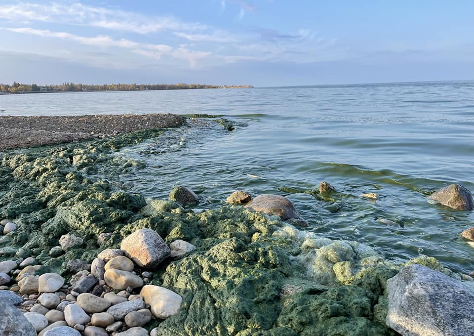 В понеделник правителството на Канада обяви че кандидатстванията към Канадската